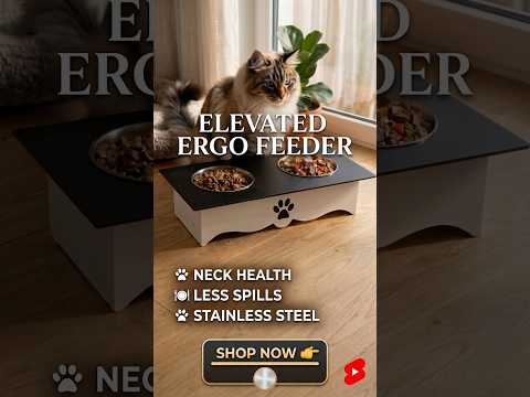 Wooden Cat Bowl Stand – Double Stainless Steel Raised Pet Feeder   Stop Feeding Your Cat on Floor