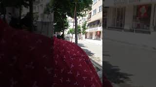 Manisali Yasardan Inciler