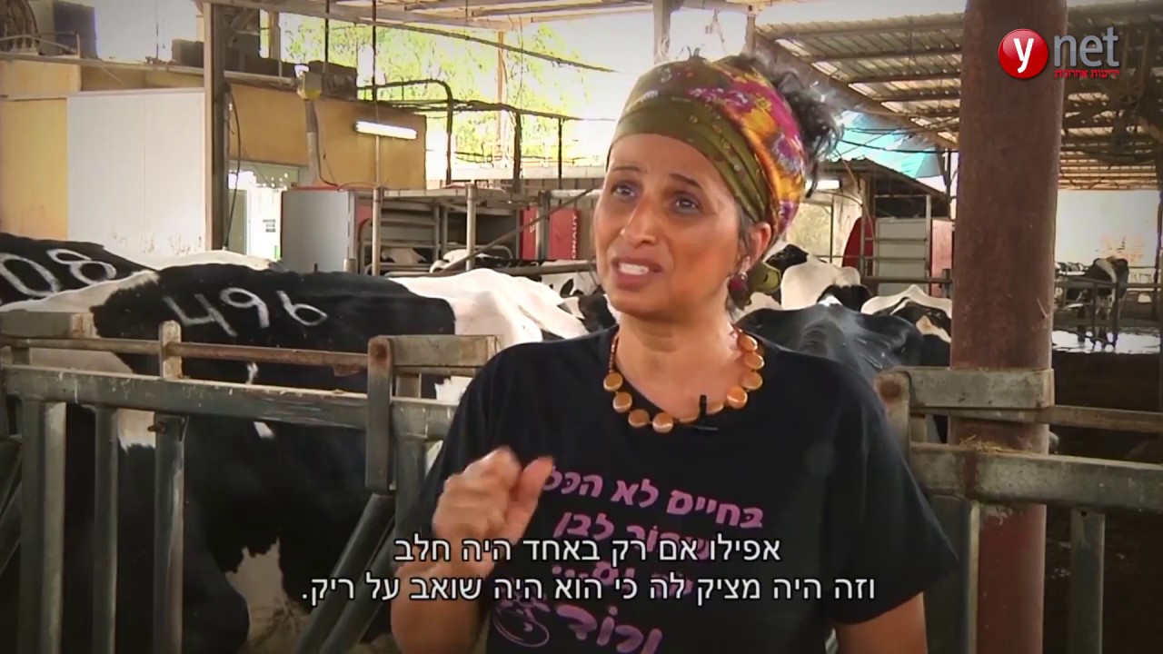 הרפת הרובוטית באבני איתן