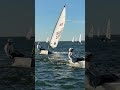 Race day 4 – ILCA 6 – Kim Tan NED – 2026 ILCA Master Europeans