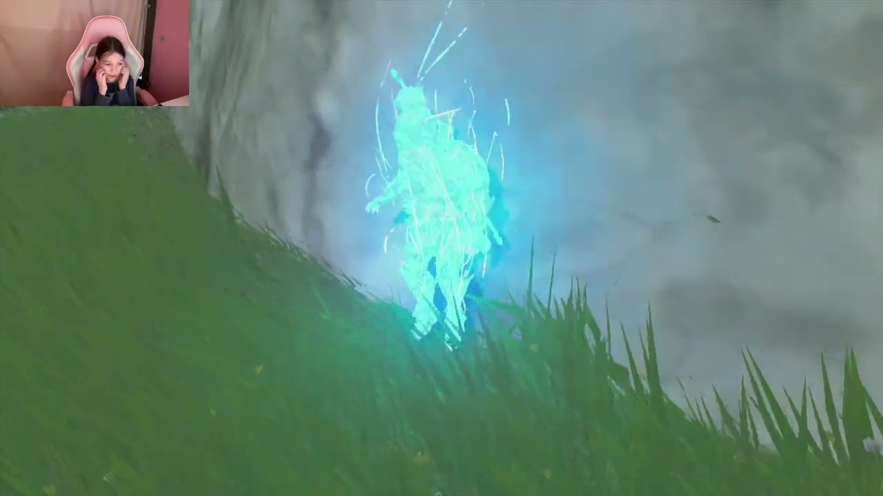 WiiU Legend of Zelda - Hearty Durian - Full Recovery Hearts - Breath of the Wild Gameplay