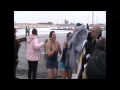 Penguin Plunge 2014