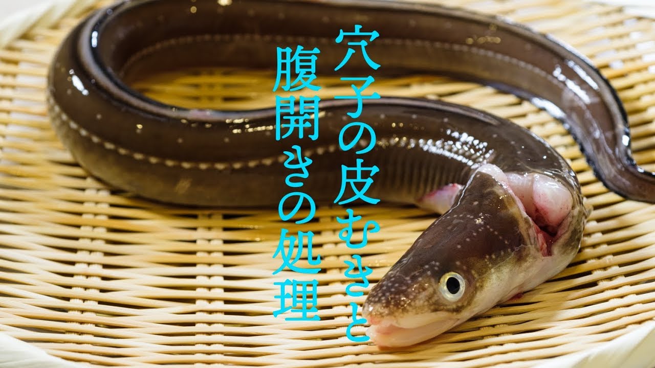 夏 旬の穴子 穴子のさばき方 穴子の皮むき 腹開きの下処理 和食の基礎 Conger Eel Youtube 夏 旬の穴子 穴子のさばき方 穴子の皮むき 腹開きの下処理 和食の基礎 Conger Eel Youtube