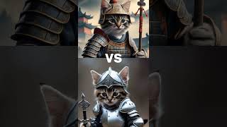 Soldier Qiang Cat Vs Knight Lance Cat