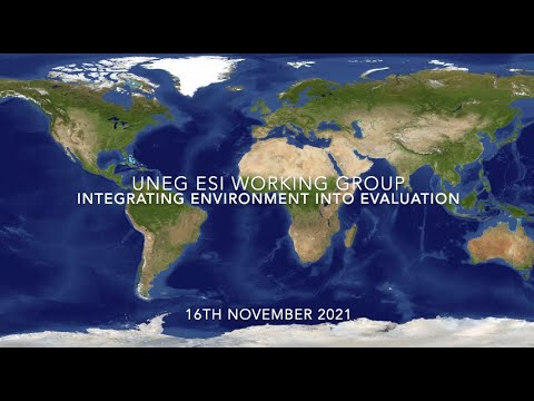 UNEG EPE 2021-2022: Integrating Environment into Evaluation - YouTube
