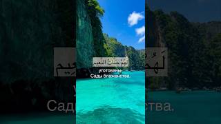 Сура 31. Лукман (Лукман) аяты 8-9😍 Мансур ас-Салими #mansurassalimi #koran #quran #коран #куран