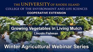 Growing Vegetables in Living Mulch