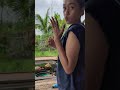 Proses anggur alas oren