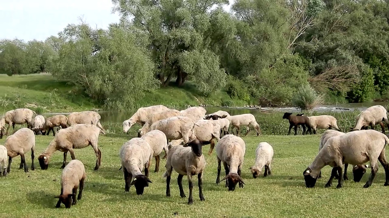 Na bicykloch k Ondave 2020