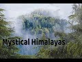 Mystical himalayas  nature sounds  birds chirping  meditation  global mantra
