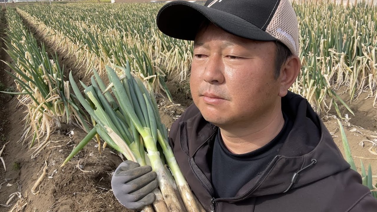 貧乏農家は必要なしと宣告された２０年後の私　パニック障害と予期不安