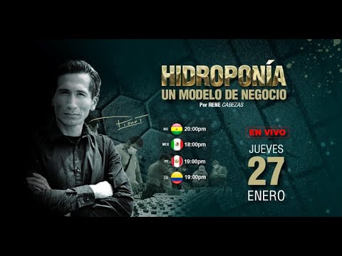 HIDROPONIA UN MODELO DE NEGOCIOS Aprenda cómo hacerla por Rene Cabezas