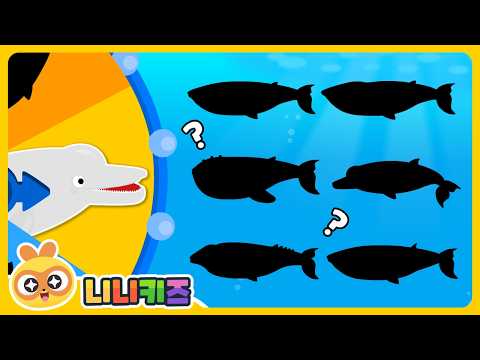 <strong>범고래</strong>? | 고래 맞추기 | 단어 놀이 | 니니키즈 NINIkids