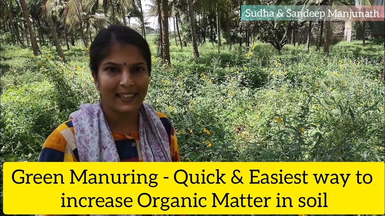 Easiest way to increase Organic Matter in soil Green Manuring