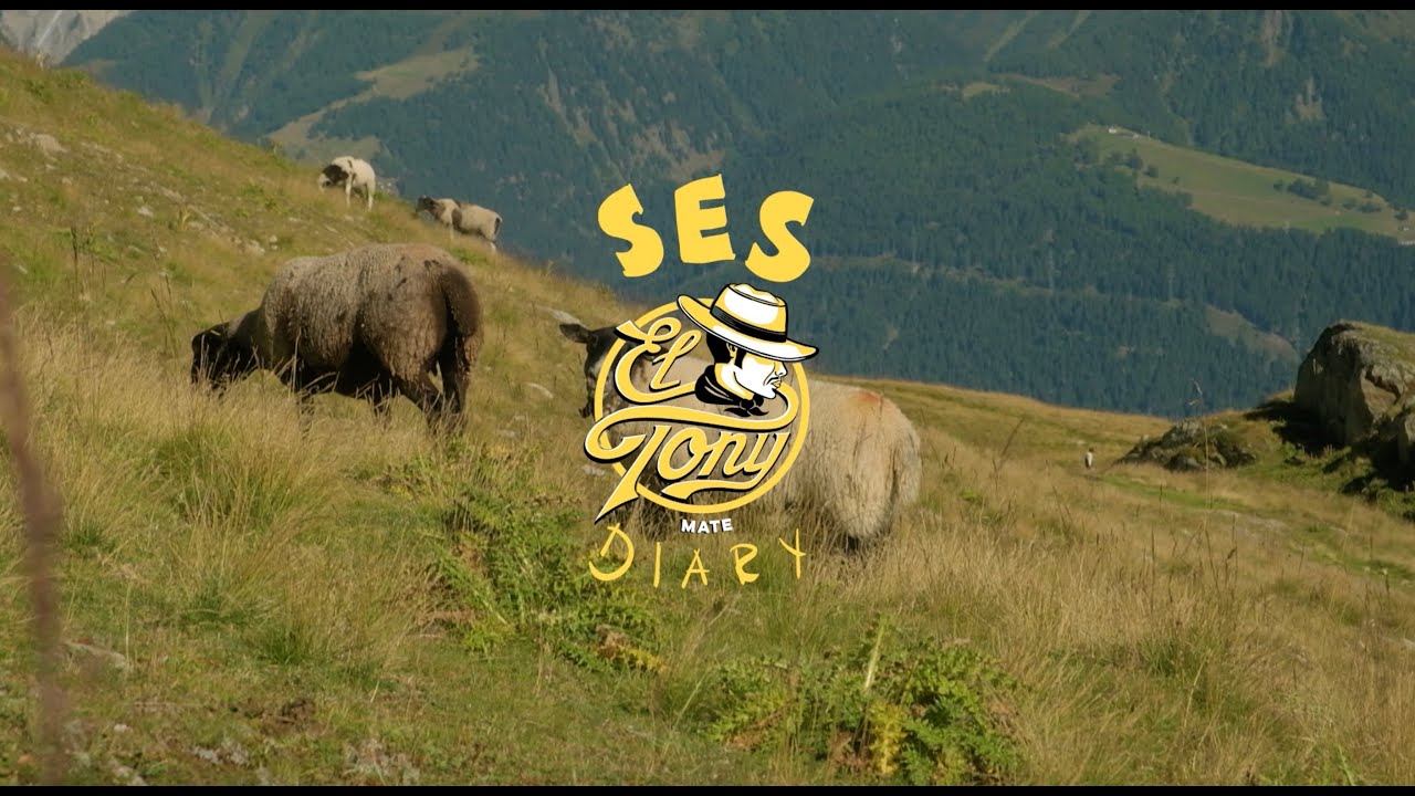 RACE RECAPS SES 2025