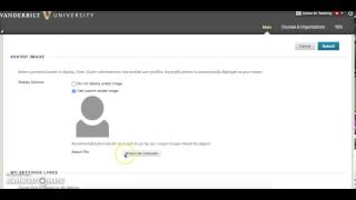 Adding a Profile Picture to your Blackboard Account