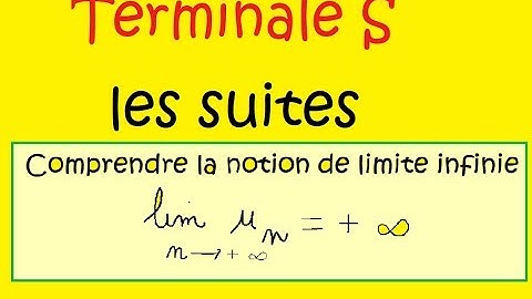 Terminale-Les suites-Comprendre la notion de limite infinie  IMPORTANT