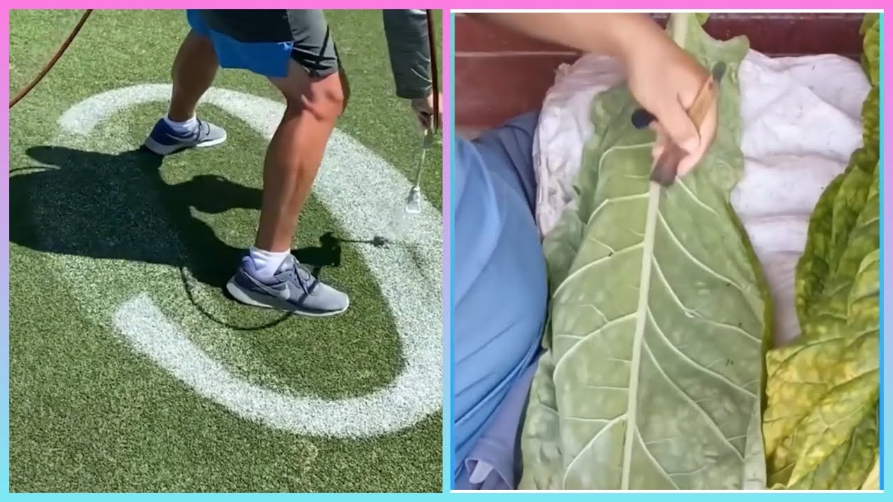 Best Oddly Satisfying Video | Satisfying Enjoy and Relaxing Compilation ...