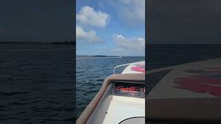 High Performance Speed Boat Blasting Through St. Andrews Bay! (Cigarette Top Gun) #speedboat