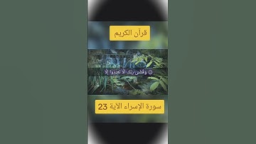 سورة الإسراء الآية 23#قران_كريم #لايك_متابعه_اكسبلور