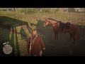 MongoTV_22500 - Red Dead Redemption 2 - Part 1586 - Old PC