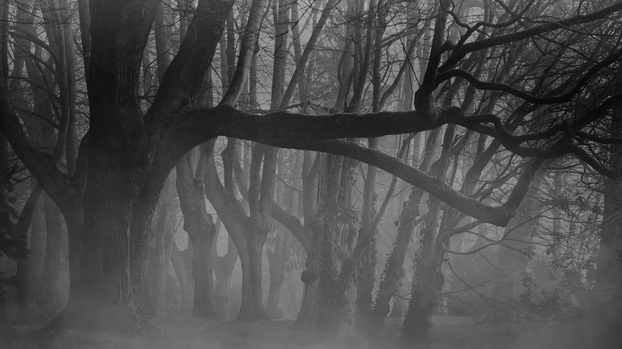 Black Metal Drum Track (160 BPM) Backing Track DRUMS ONLY YouTube