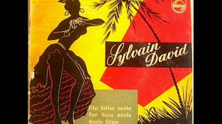 Sylvain David - Mambo Gitano