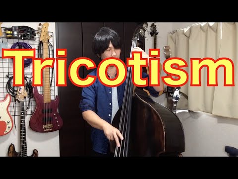 〜Tricotism〜【ウッドベース】テーマ演奏