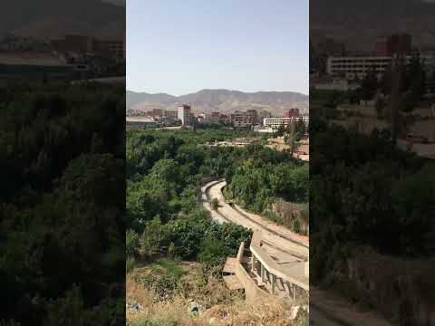 نغمه رنين العتاوله