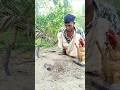Rat trap with Sculpture 08 #rattrap #hunting #survival #shorts