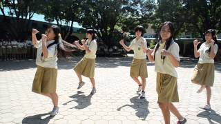Flashmob XI-bhs 2012-2013