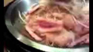 【グルメウォーカー】焼肉花樹苑