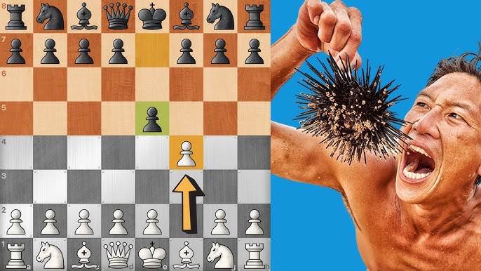 10 Reasons to Play The Pirc Defense - TheChessWorld