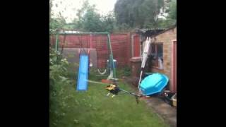 Trex 600 First Hover