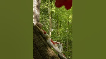 After Effects Assignment 3 - Puppet Pin Tool and 3D camera movement