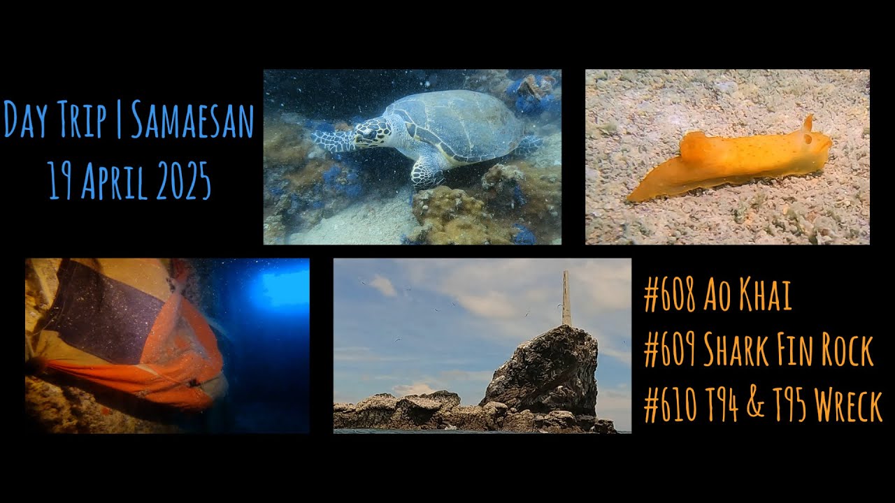 19 Apr 2025 | Samaesan Diving | 