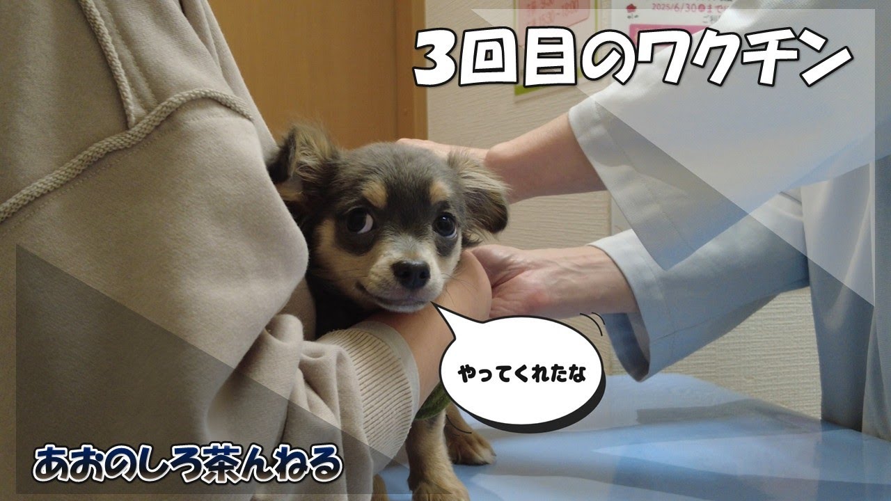 3回目のワクチン接種