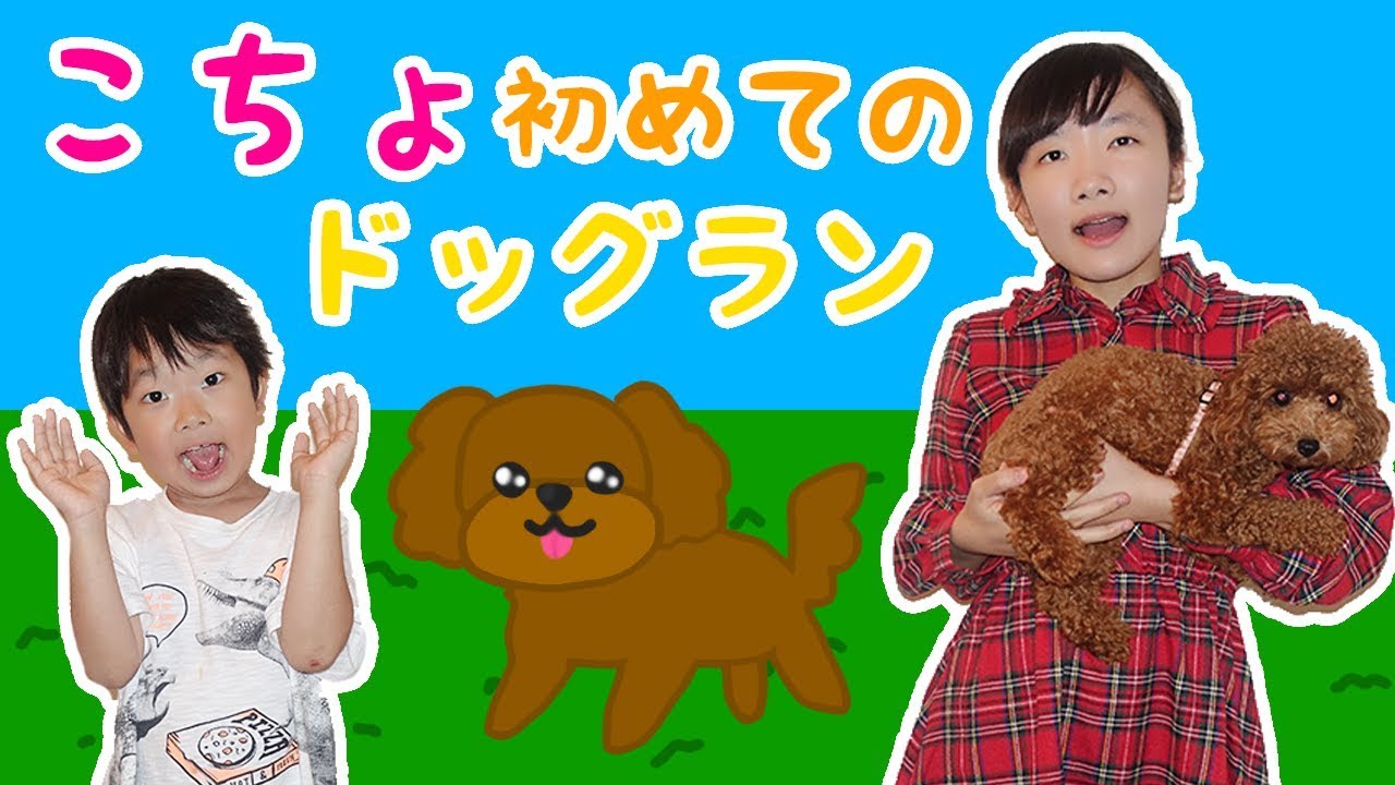 ★「こちょ初めてのドッグラン」～初めてのシリーズ第八弾！～★