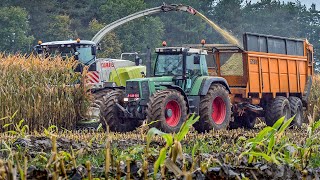 Maize harvest in Rain and Mud / Claas Jaguar 960 / Fendt 818 / Loonwerken Willy Janssens / 2021