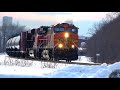 Deer Run Away + CSX Do Not Hump Geometry Box Car and BNSF  Oil Tanker Train