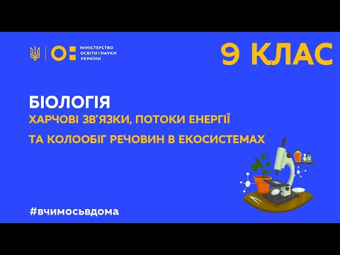 9 клас. Біологія. Харчові зв’язки, потоки енергії та колообіг речовин в екосистемах (Тиж.4:СР)