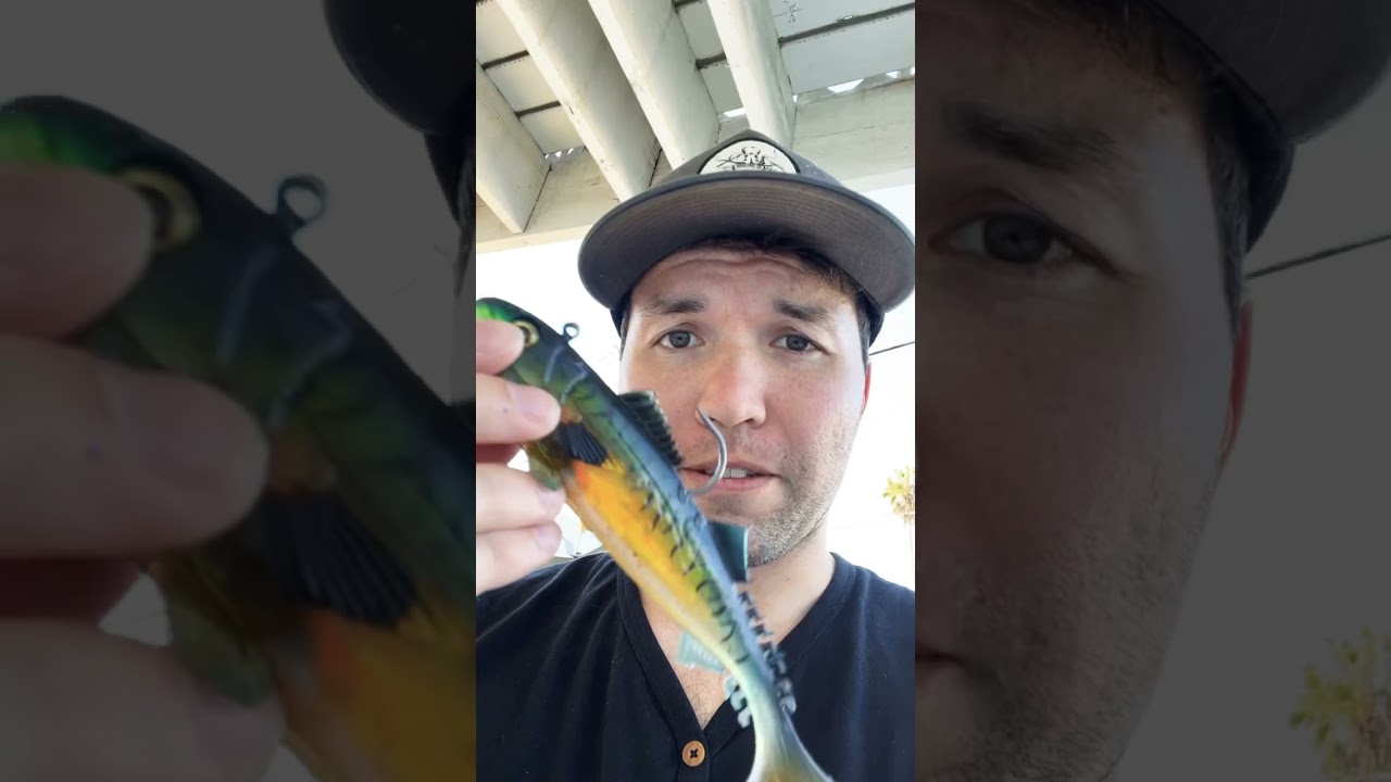 3 Soft Plastic Lures That CRUSH In Saltwater