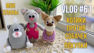 картинка: VLOG #61 Котики против собачек. Мои планы. Покупки