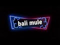 Welcome to bali mule