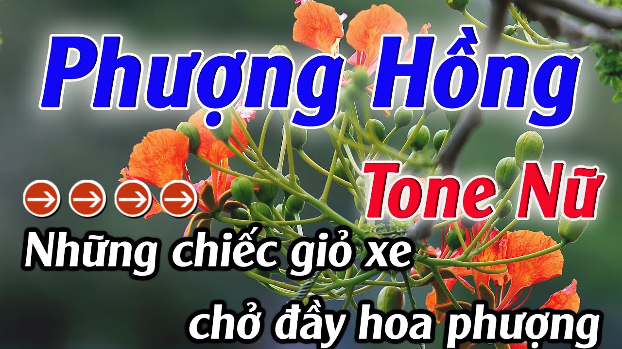 ivibet nh ci uy tn Karaoke Phượng Hồng Karaoke Tone Nữ Beat Hay Nhất 2025 Karaoke Mê Nhạc Sống