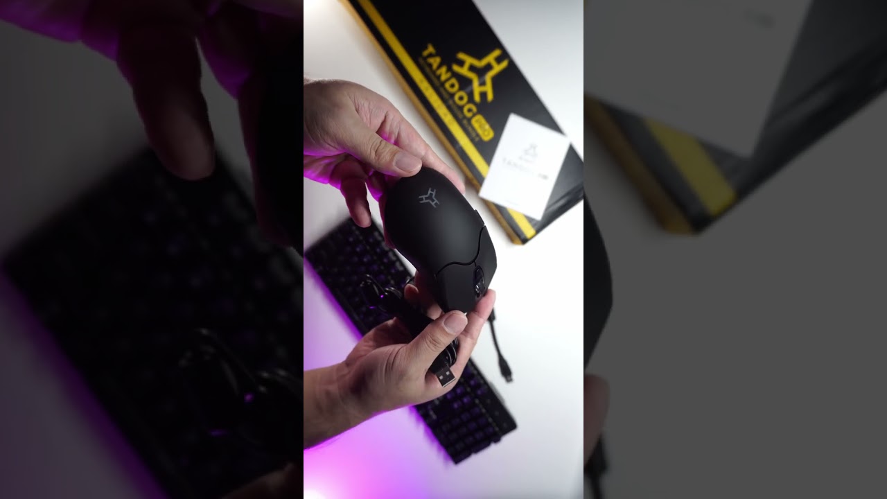 Let's have a closer look! (Rakk Tandog pro Part 3 ) 