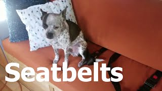 Conversion Video 55: Seatbelts