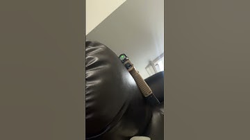 Holosun Shake awake Feature is Amazing! ✅💥 #guns #2ndamendment #legallydangerous #guntalk