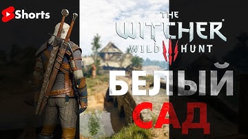 Хардкор W3EE — Белый Сад! Shorts live