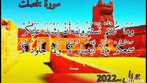 سورة :فصلت تلاوة عطرة موريتانية